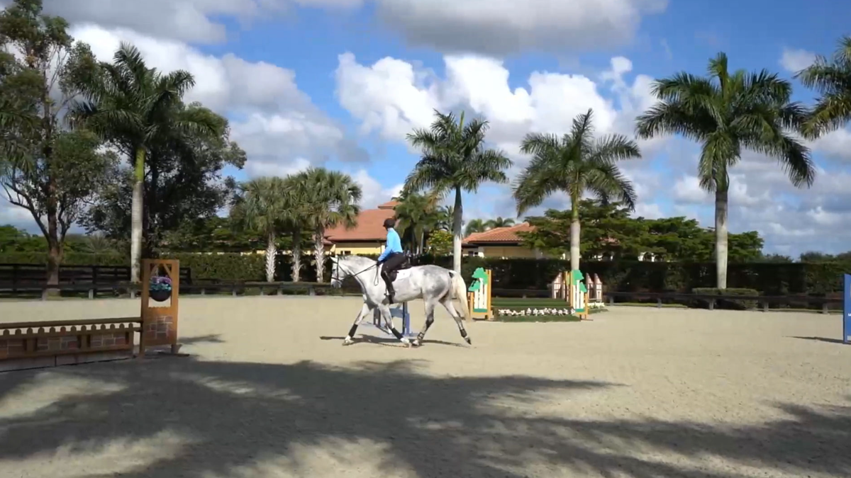 The Drahan Keiser Team