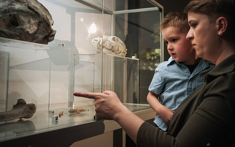 open minds and ignite curiosity