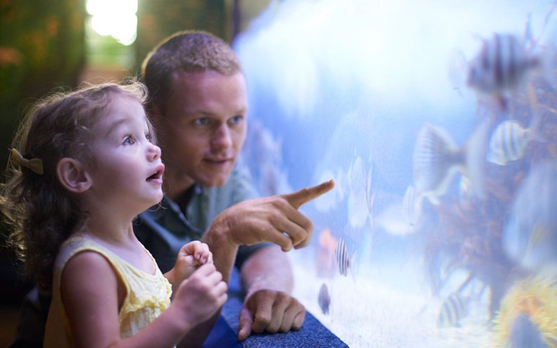 share moments of wonder