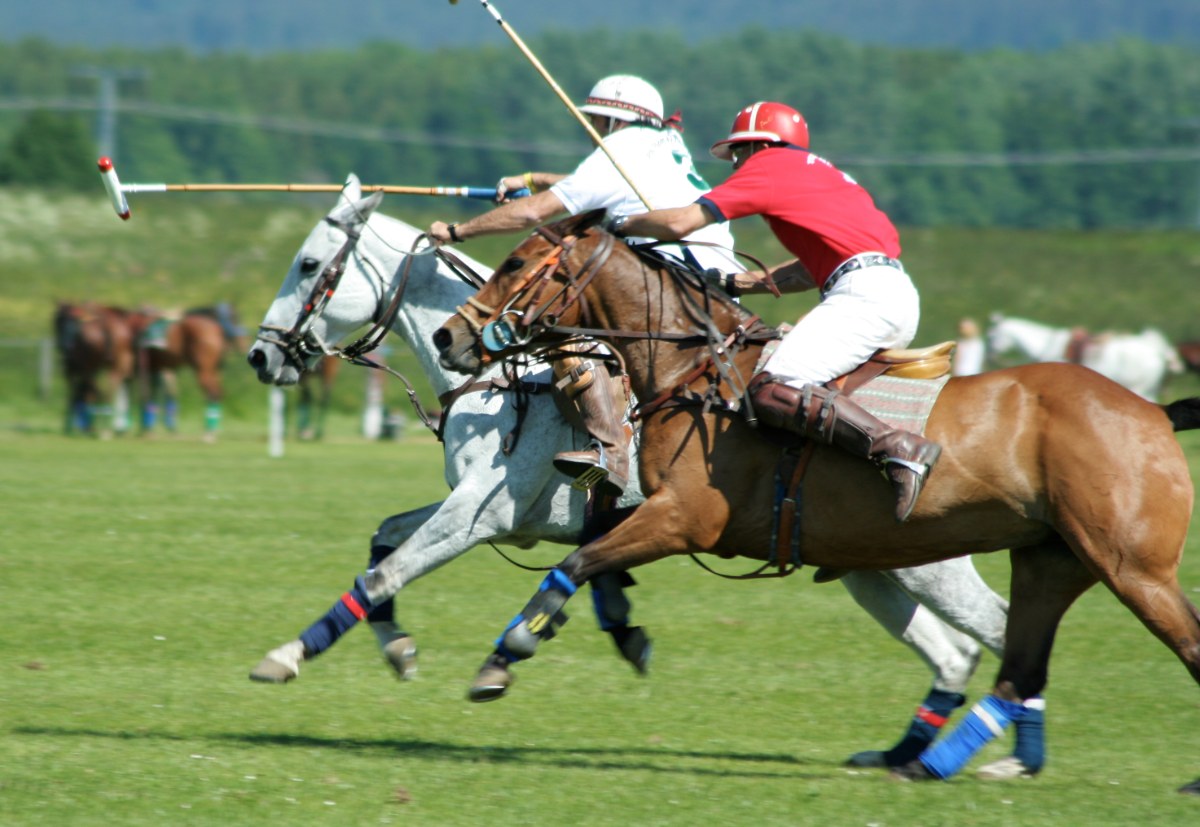 Sunday Polo at the National Polo Center (1)
