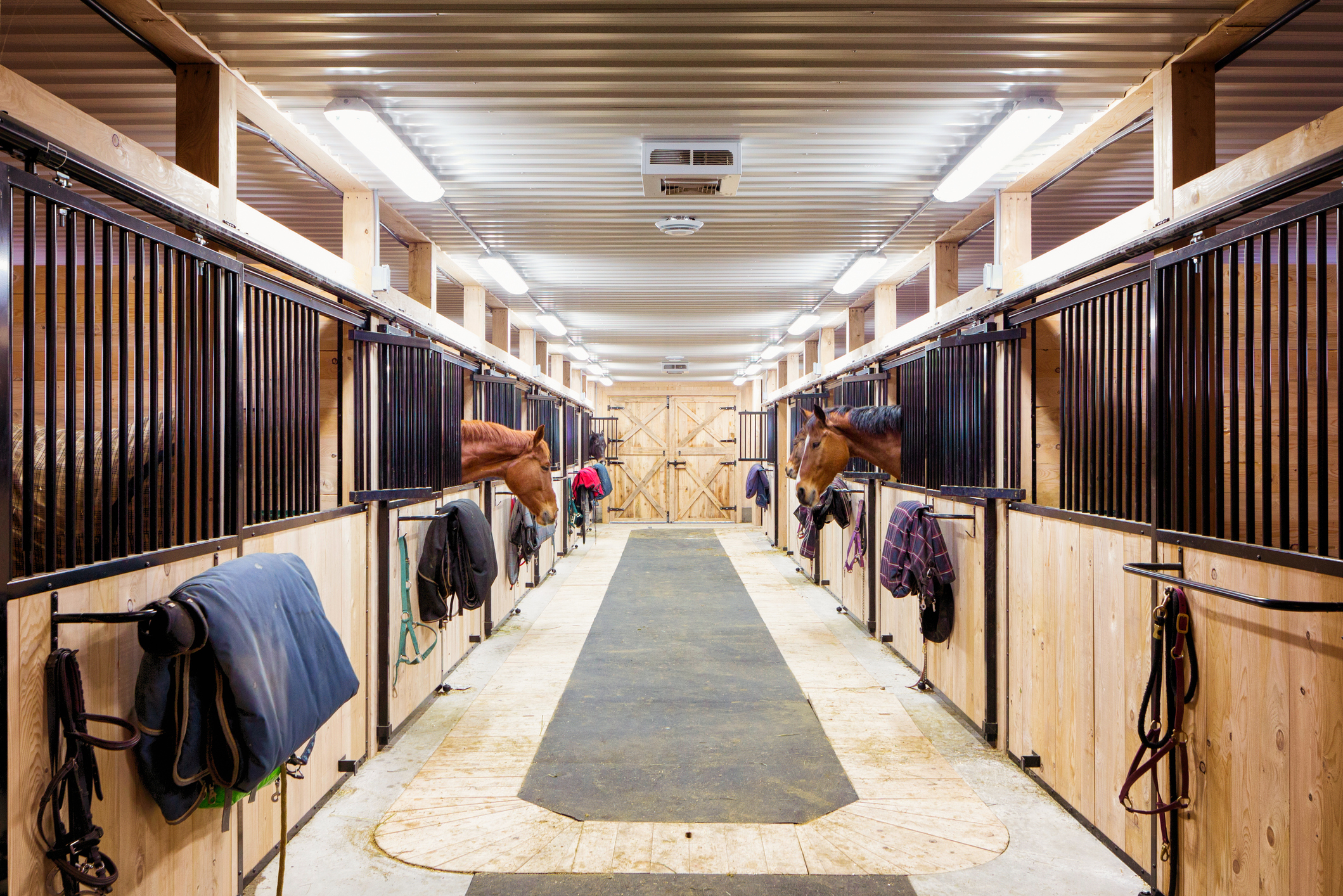 Stables