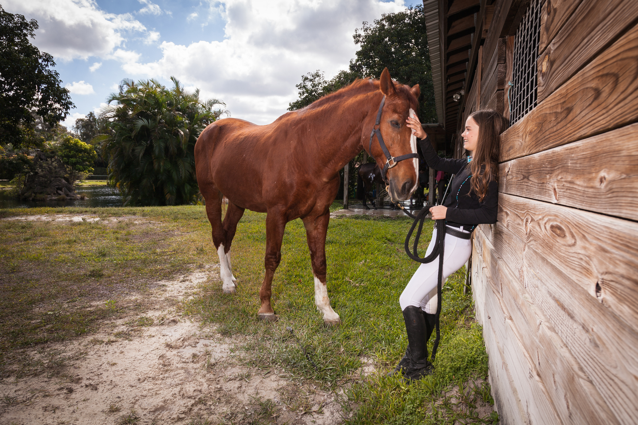 A horse beside a stable with its handler